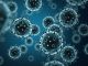 Coronavirus – Our Increased Focus and Precautions