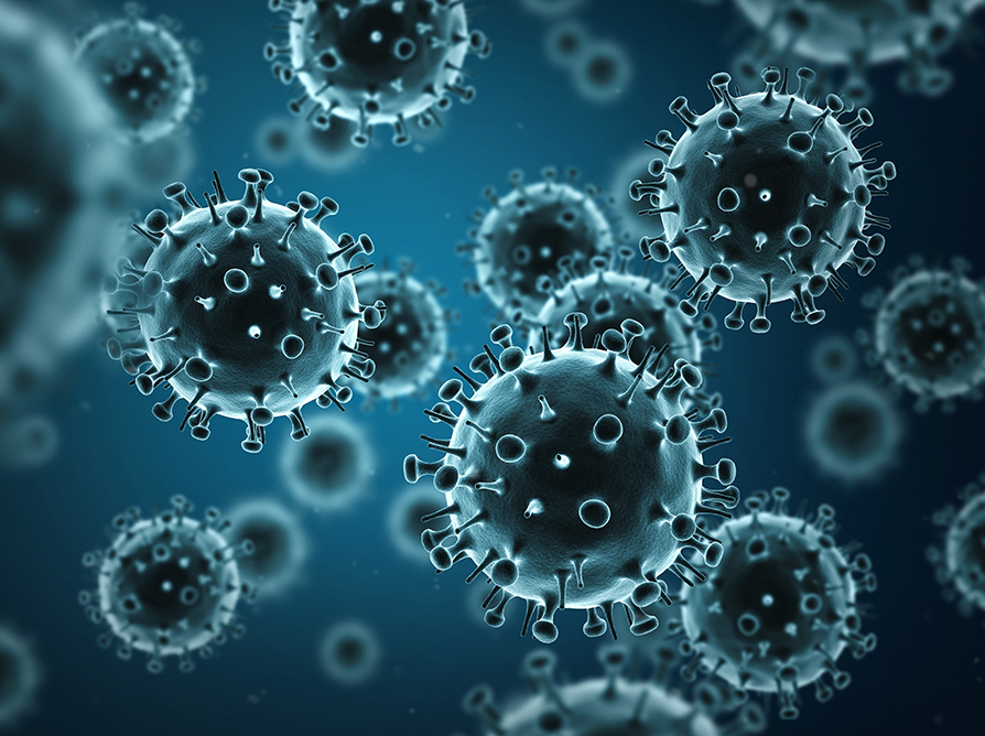 Coronavirus – Our Increased Focus and Precautions