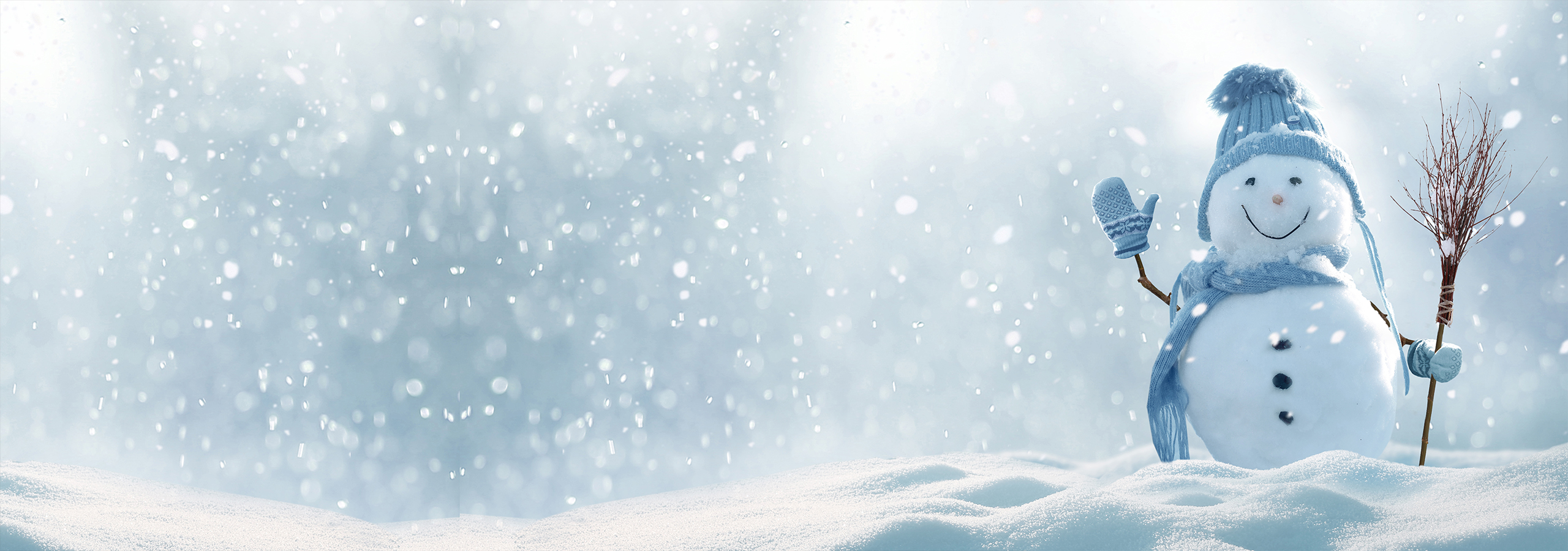 Merry Christmas and Happy New Year