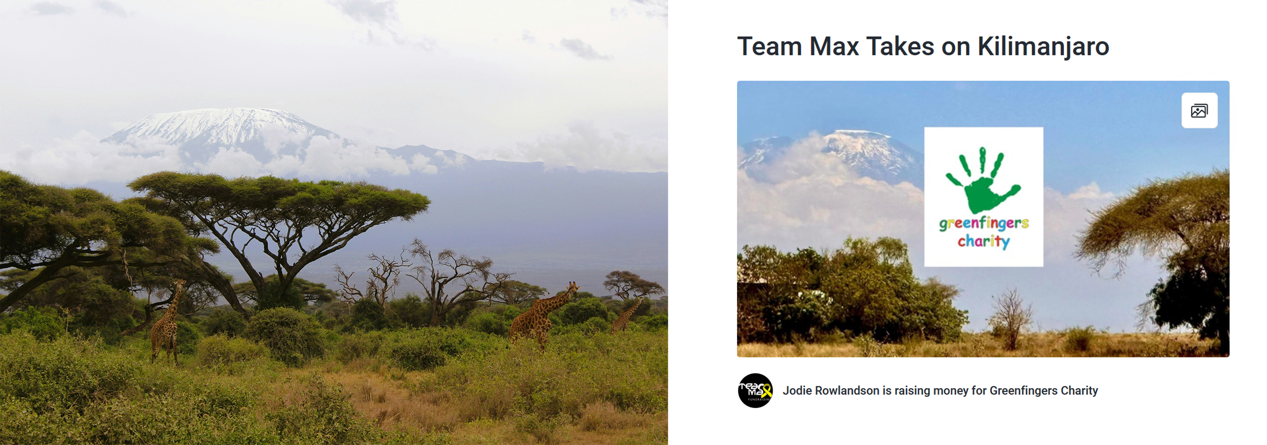 Climbing Kilimanjaro This Week